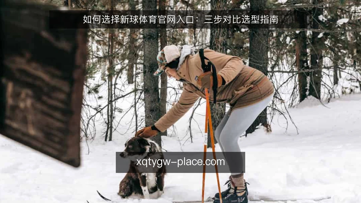 如何选择新球体育官网入口：三步对比选型指南