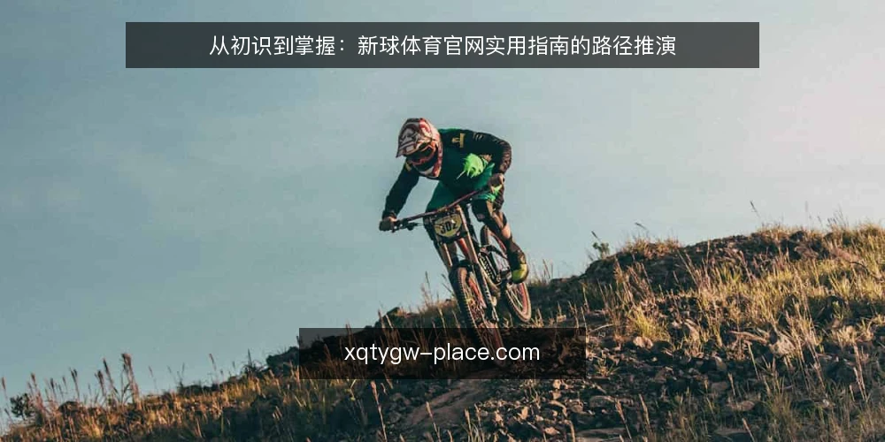 从初识到掌握:新球体育官网实用指南的路径推演 — 场景设定:从一次信息查询开始 配图
