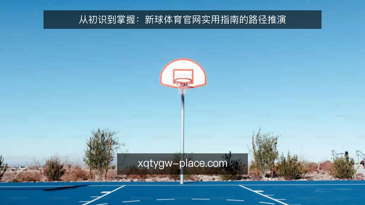从初识到掌握:新球体育官网实用指南的路径推演