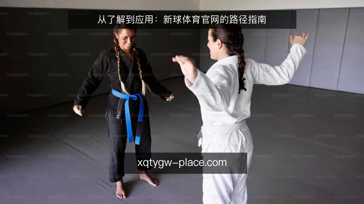 从了解到应用：新球体育官网的路径指南