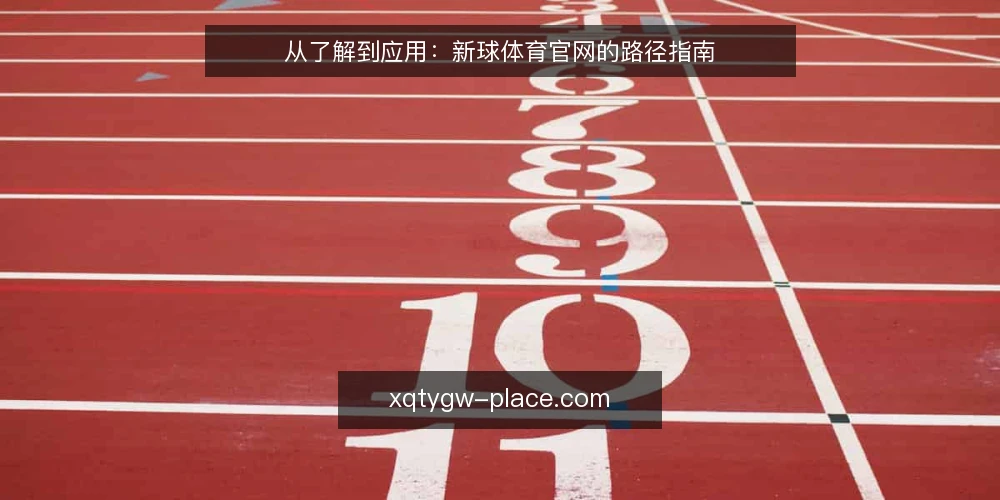从了解到应用:新球体育官网的路径指南 — 起点:认识新球体育官网的定位 配图