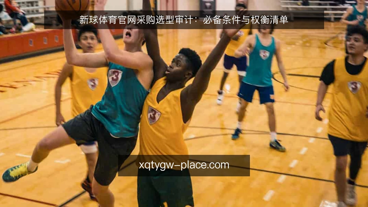 新球体育官网采购选型审计:必备条件与权衡清单