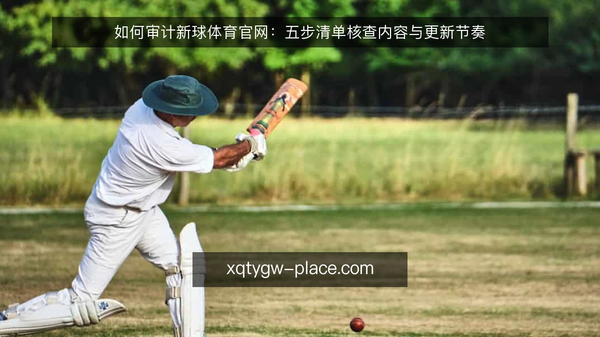 如何审计新球体育官网：五步清单核查内容与更新节奏