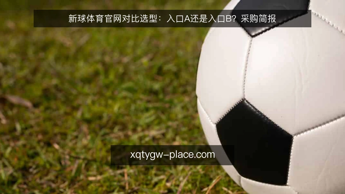 新球体育官网对比选型：入口A还是入口B？采购简报