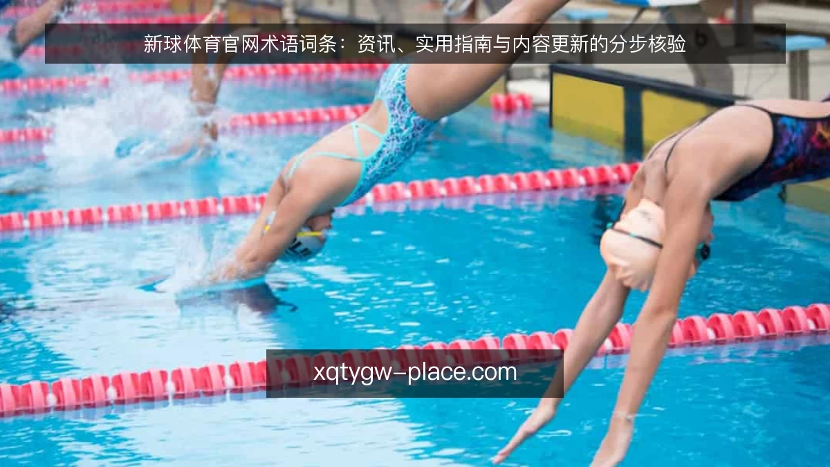 新球体育官网术语词条:资讯、实用指南与内容更新的分步核验